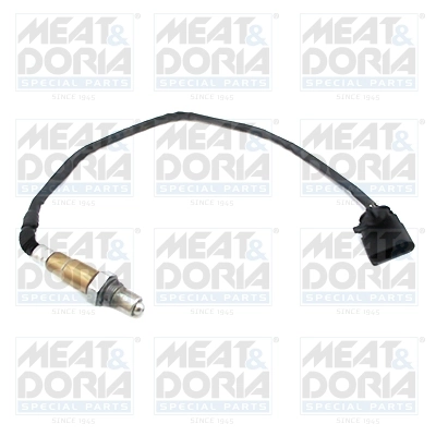 Oxygen Sensor